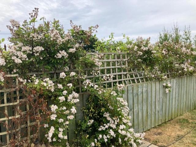 Seaview Bungalow Hornsea Bagian luar foto